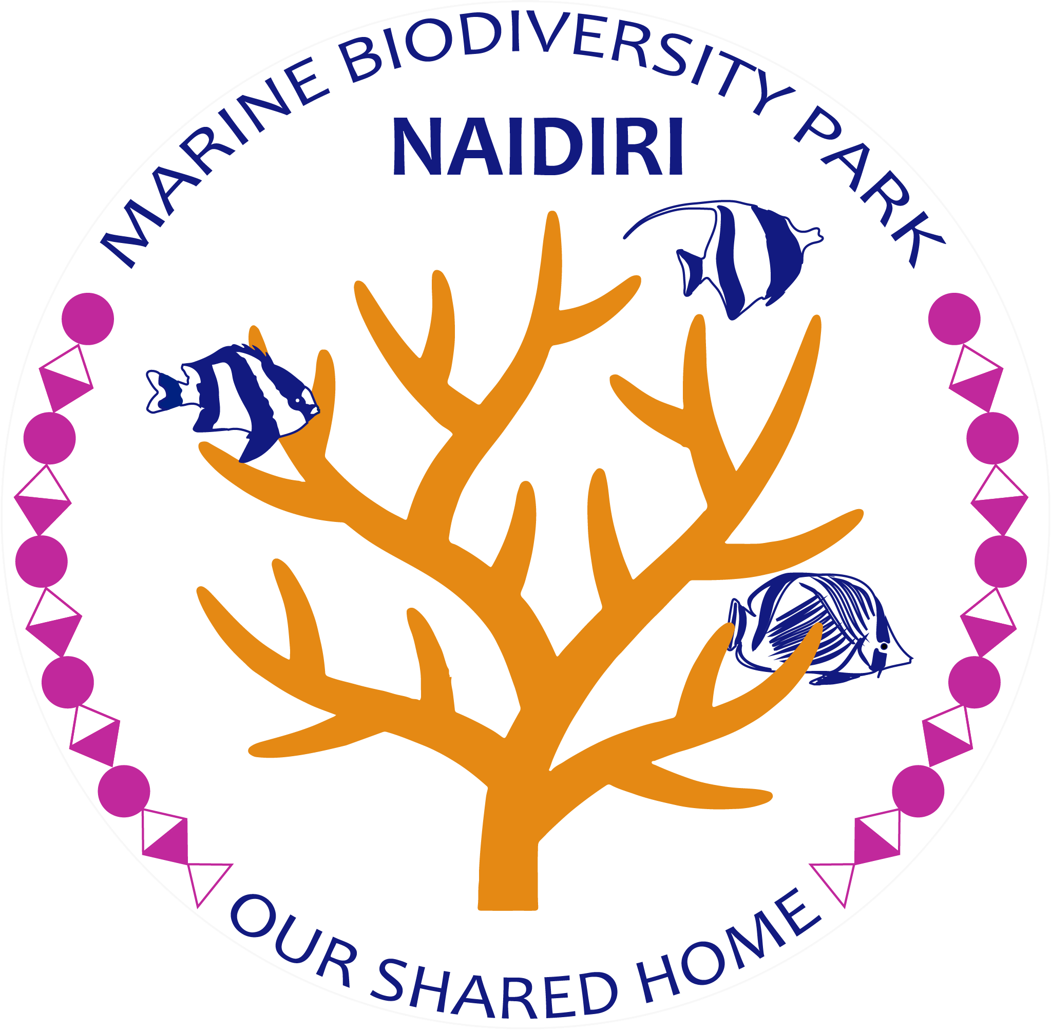 Snorkelling – Naidiri Marine Biodiversity Park