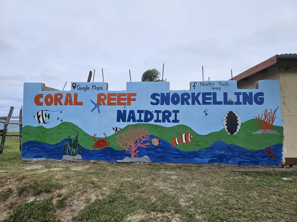 coral reef snorkelling naidiri mural