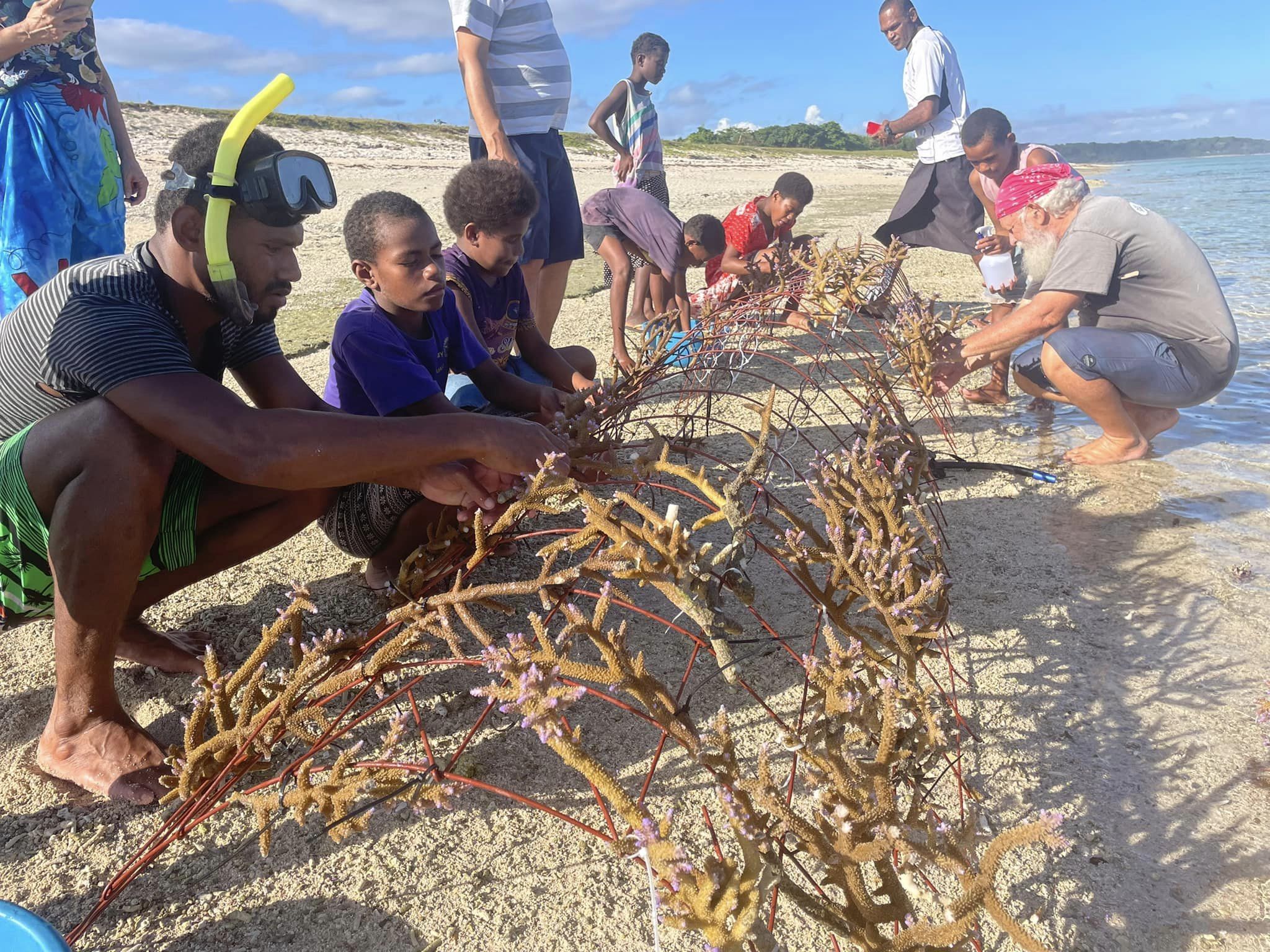 coral reef restoration coral planting coral frames