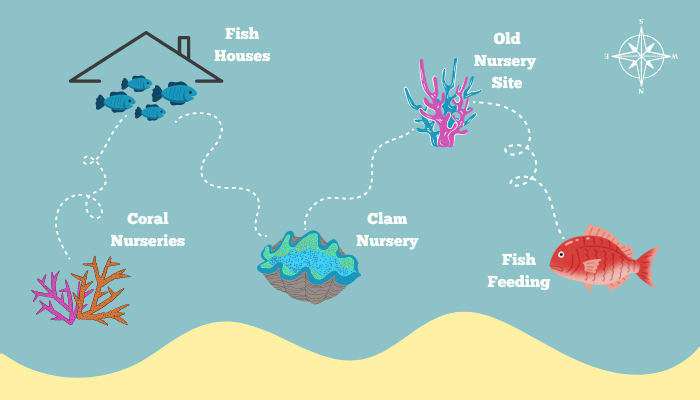 naidiri coral reef snorkelling map