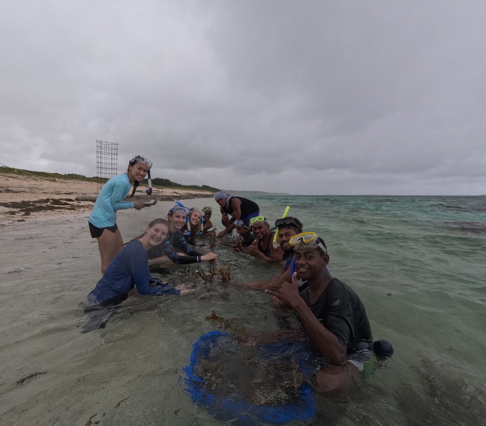 5 coral frames planted